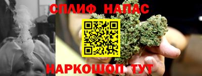 гидра Мариинск