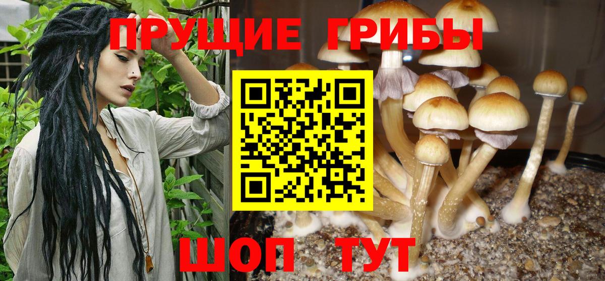 Галлюциногенные грибы ЛСД Горячий Ключ
